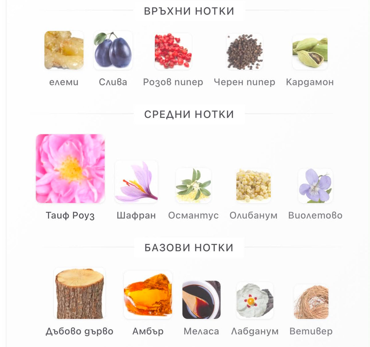 Swiss Arabian Enigma of Taif ExDP 100 мл. – оригинален парфюм, продуктова снимка 3