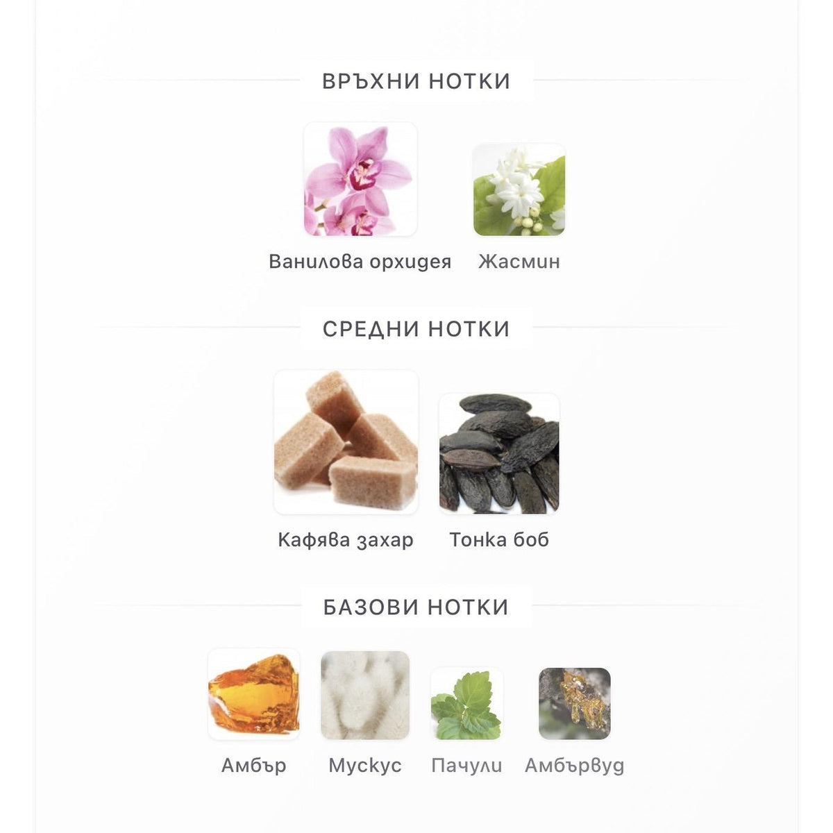 Fragrance World Elysia Vanilla Sugar EDP 100ml – оригинален парфюм, продуктова снимка 4